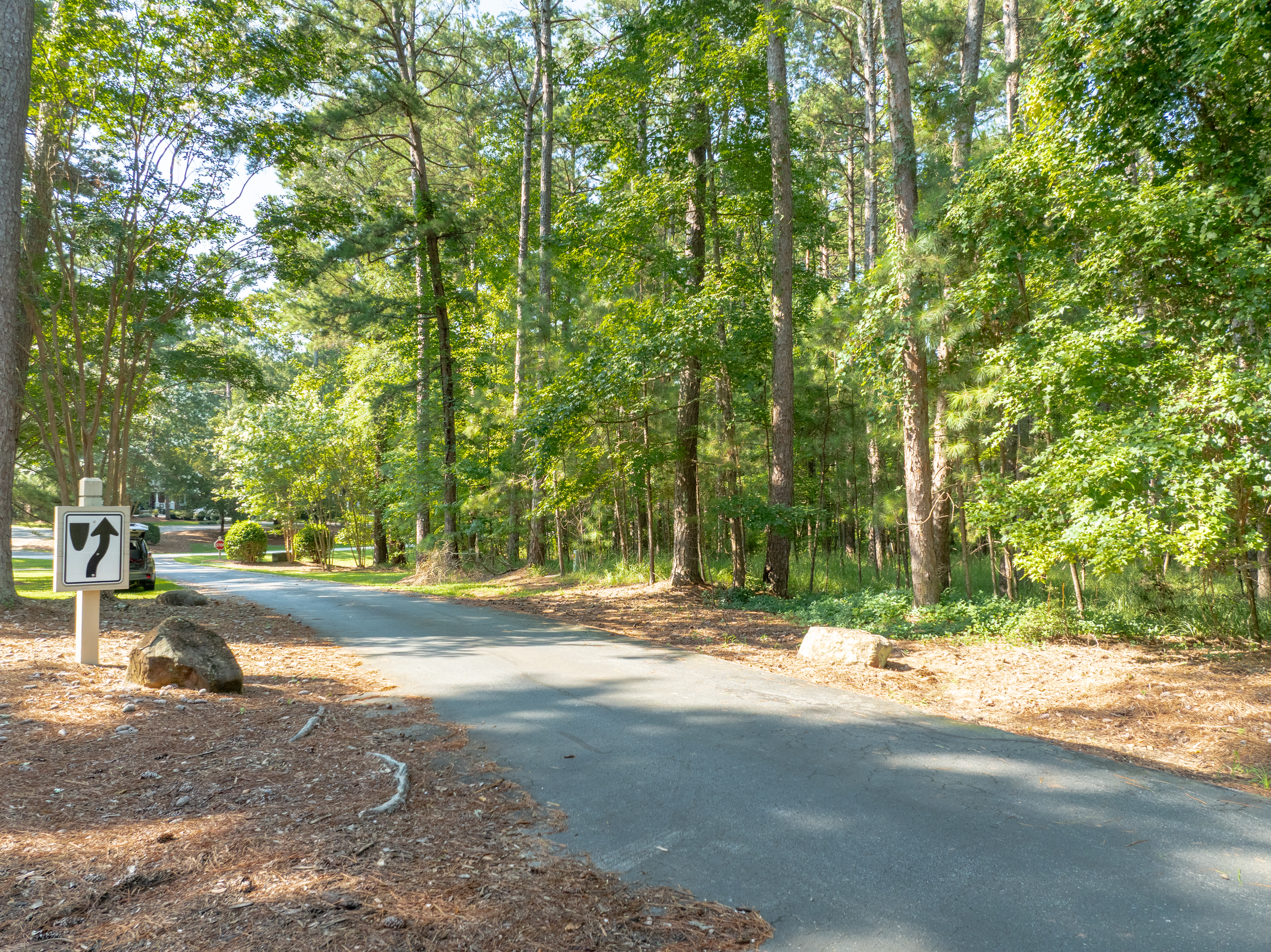 1010 Wrayswood Circle image 5